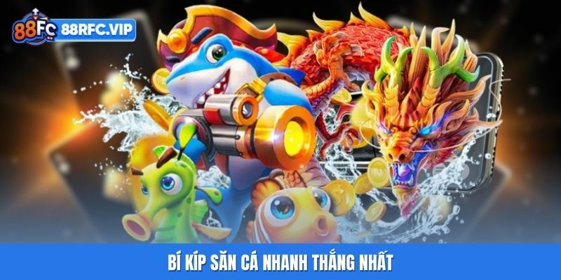 Bí kíp săn cá nhanh thắng nhất
