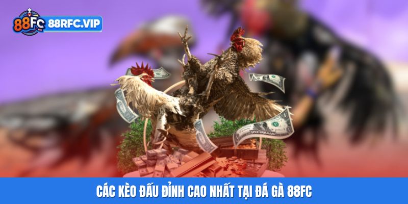 Các kèo đấu đỉnh cao nhất tại Đá gà 88FC