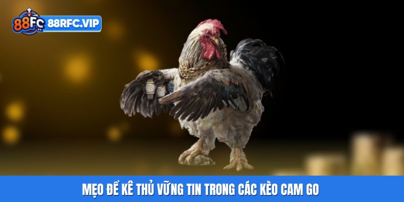 Mẹo để kê thủ vững tin trong các kèo cam go