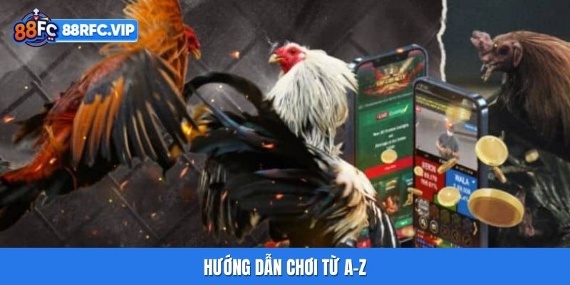 Hướng dẫn chơi từ A-Z
