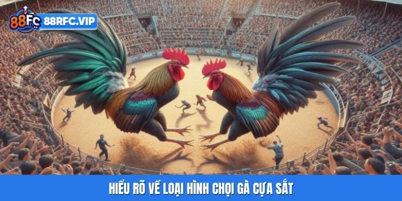 Hiểu rõ về loại hình chọi gà cựa sắt