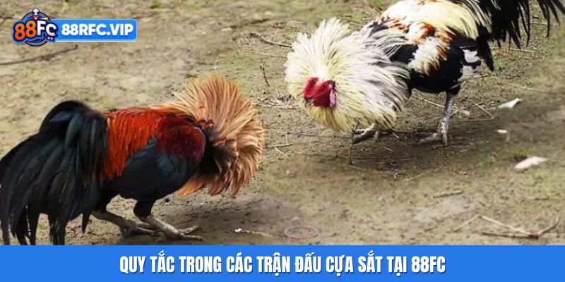 Quy tắc trong các trận đấu cựa sắt tại 88FC