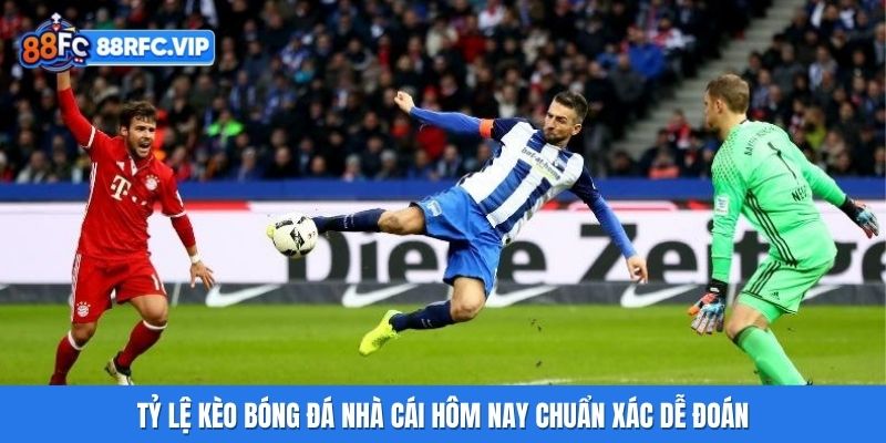 Tỷ Lệ Kèo Bóng Đá Nhà Cái 88FC